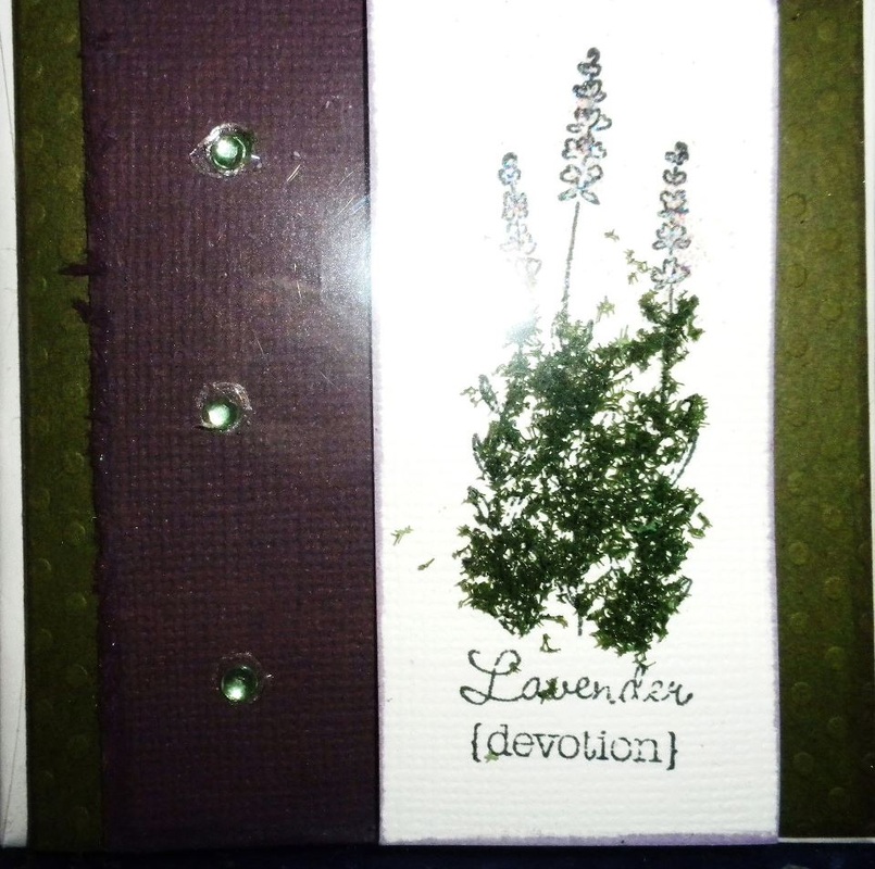 botanicula every card